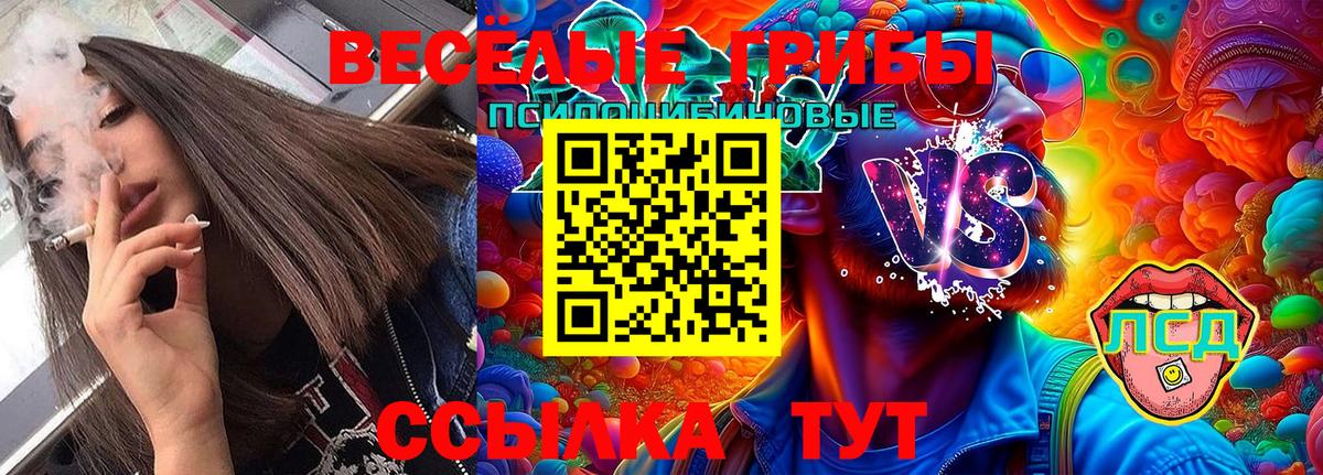 цены   Вход с VPN  Истра  Галлюциногенные грибы Psilocybe 
